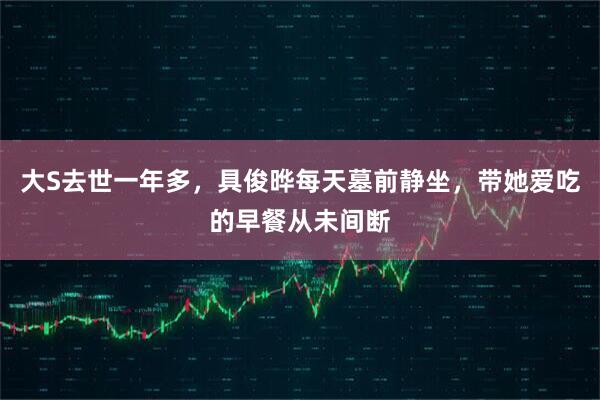 大S去世一年多，具俊晔每天墓前静坐，带她爱吃的早餐从未间断